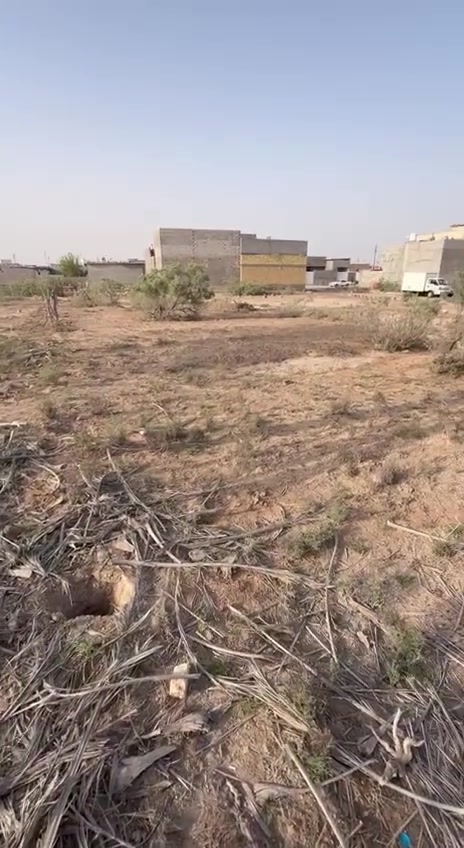 للبيع قطعة أرض مميزة – أبو الخصيب / حمدان

📍 الموقع: أبو الخصيب – حمدان
📐 المساحة:  (1700 م²) 
🛣️ تبعد عن الشارع الخارجي ( على الفوك ) : حوالي 1 كيلومتر
📄 جنس العقار: طابو صرف تحويل باسم المشتري 
السعر 200 مليون وقابلة للتفاوض للتواصل واتساب ***********
***********
