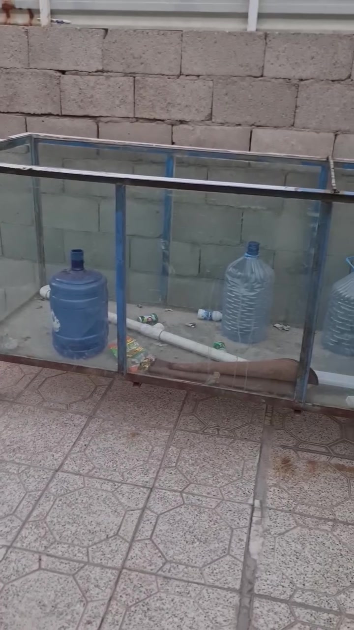 حوض مال سمك ٣متر في ٧٥ س جام قوي جدا ياخذ ١٥٠ سمكه سعره ٣٠٠ الف بغداد العامريه ***********
