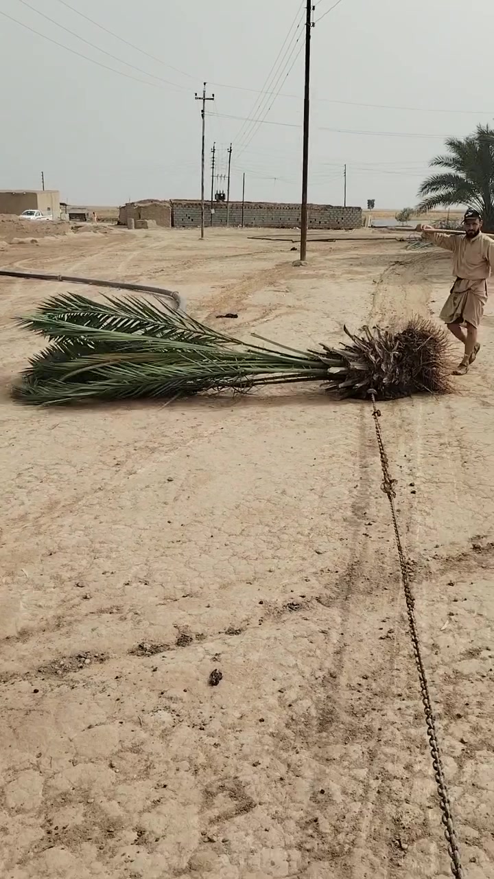 قلع نخيل • الفلاحين • الحويجه