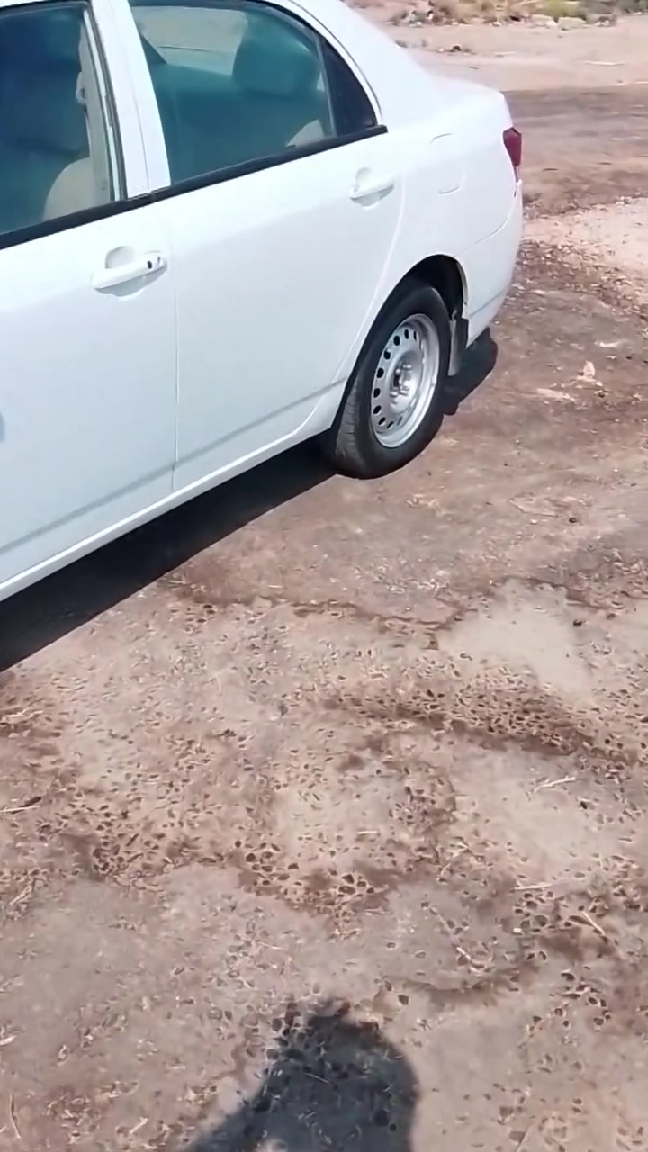 بي وايدي كير عادي مكفوله من شخط فول مواصفات عله وضع شركه تبريد ثلج لايت زنون ماشيه 200السعر72وبيه مجال قليل***********
