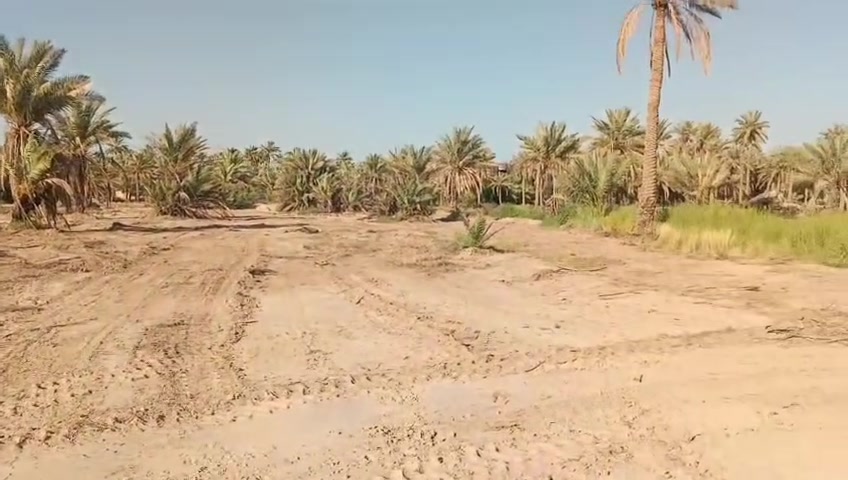 للبيع – أرض زراعية في كربلاء / طويريج قريب عل السيطرة الابراهيميه
- المساحة: دونم وربع

- السند: 25

-

- جميع الخدمات متوفرة

- متوافر كل الخدمات  مستوصف ومدارس وكهرباء وشارع 

- الأرض مروية، ومغلفة، ويتوفر فيها ماء صالح للزراعة

- الموقع: كربلاء – طويريج – قريب السيطرة الابراهيميه 

للاستفسار والتواصل *********** وعندي ايضن دوانم وقطع وعندي ايضن گاع مساحة 28طابو صرف اسود وعندي  بيوت جاهزه
