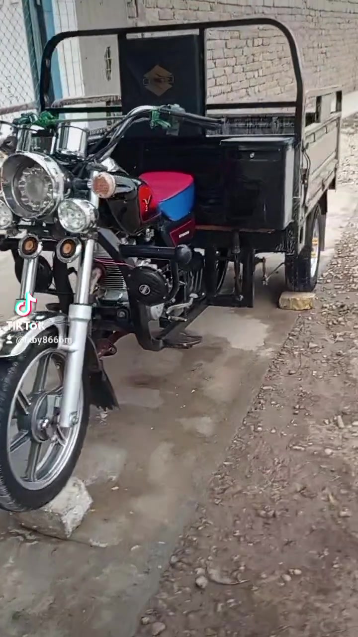 ستوته • موديل ٢٤ • مكفوله
