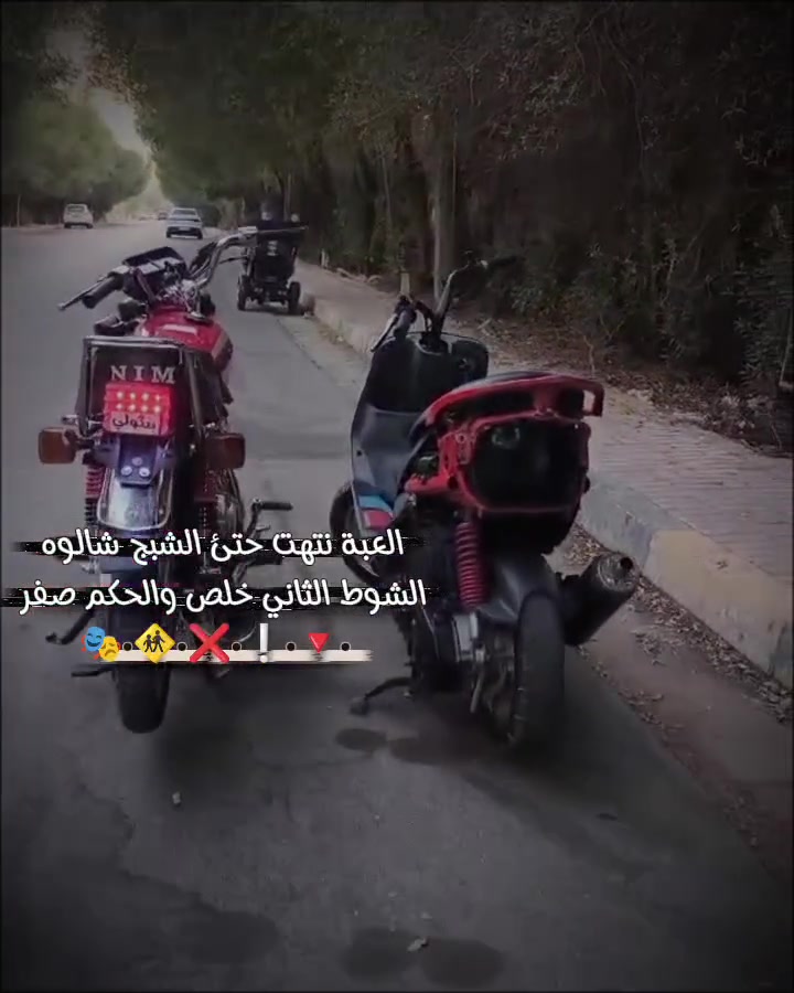 ماكس منغولي • مجال • كوفة نجف