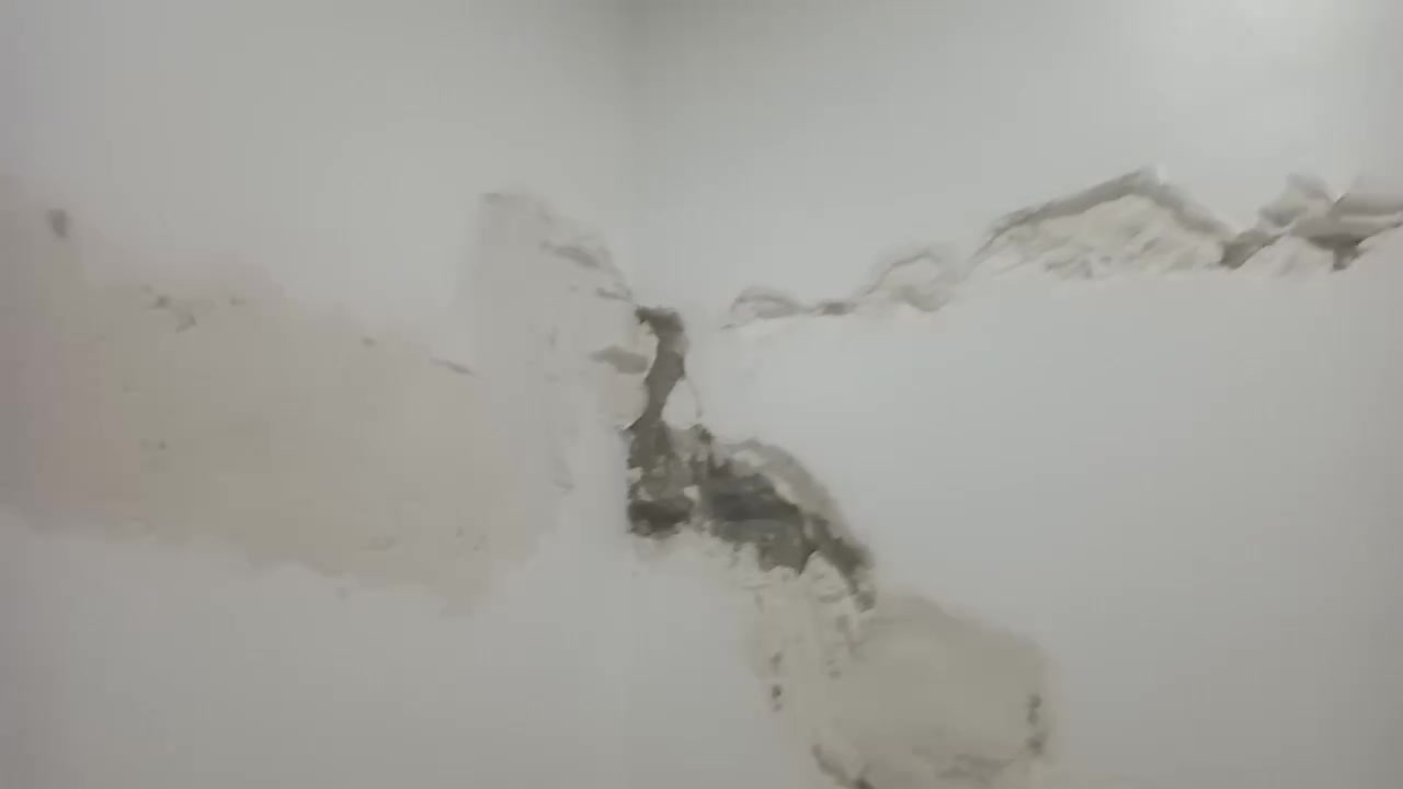 السلام عليكم تصليح بيوت لعند فطر مثل هذا الفطر نصلحه وهذا شغلنا قدام العين رقمي بو واتساب ***********
