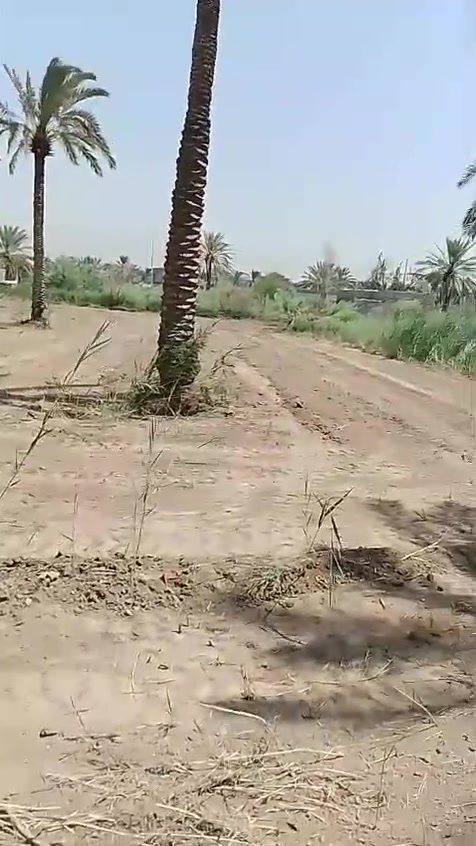دونم طابو صرف بحي الأسرى للبيع الاتصال بالرقم***********
