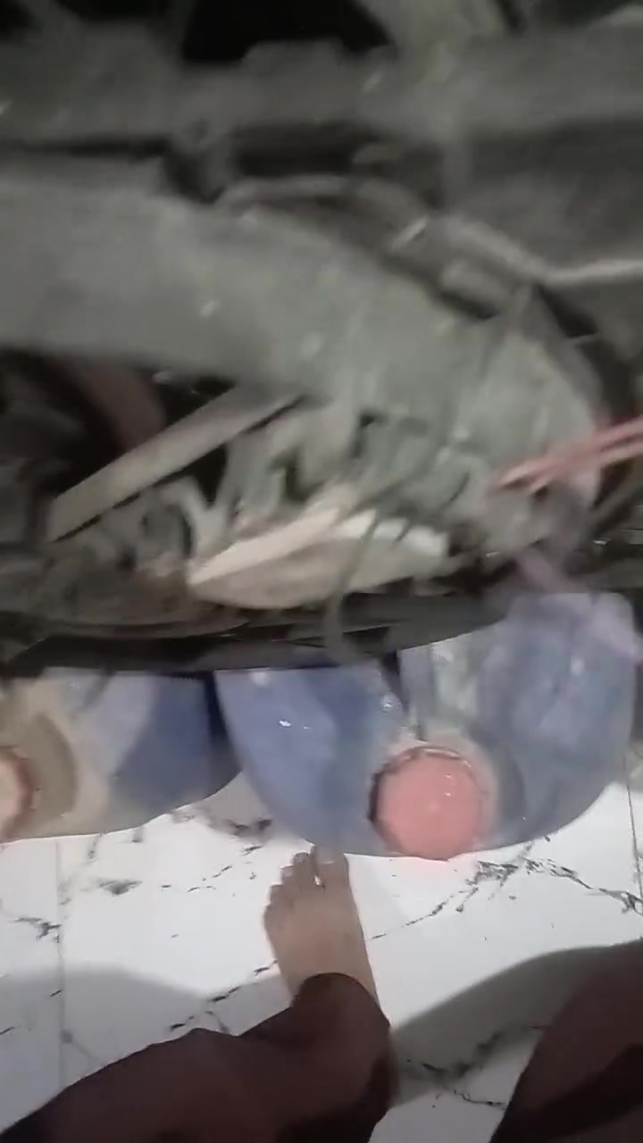 بابل الحلة • قطع غيار