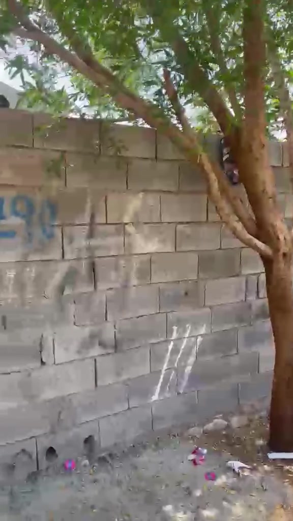 السلام عليكم بيت تجاوز حي زيتون شارع 40داخل مرتسم بلديه بيت تسليح كامل مكمل مساحه 190متر السعر 28بي مجال ***********
