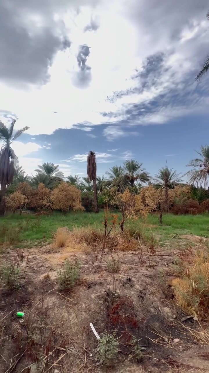 بغداد الراشديه • الساده البوحيات • 600م