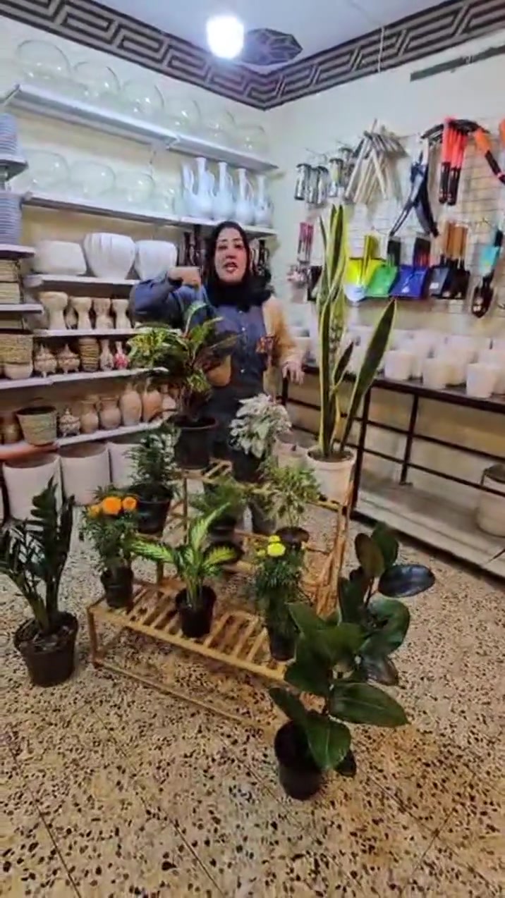 حي التعليم • ديكور منزل • حديقة