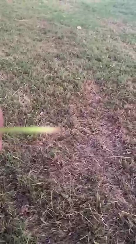 🌿 بعد التجارب والعمل الميداني… وصلنا للحل المناسب! 🌿
لم نتوقف عن التجارب والبحث عن الحلول التي تخدم المجتمع، وها هي التجارب الميدانية تثبت نجاحها. ✅
🌱 اليوم نجحت تجربة مبيد السعد للحدائق
بعد تطبيقه في إحدى الحدائق المنزلية، وكانت النتائج بتقييم ممتاز من حيث مكافحة السعد والمحافظة على مظهر الحديقة.
💚 مبيد السعد للحدائق
حل مجرّب ميدانياً، والنتائج هي الفيصل.
📦 متوفر مع توصيل إلى جميع المحافظات
📞 ***********
📞 ***********
