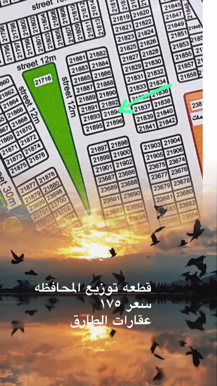 الطارق • البصرة • أراضي