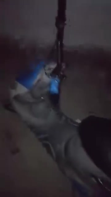 مراوس بكير لو بيع
@ماكس منغولي للبيع شغاله غراضها موجوده سكان وكفرات كامله ختم واحد ابيعلك كامل هندر وسلف نقصه شخاطه ودكمه دراجه مفتوحه فقط ولفات اكفلها من كلشي وغراضها كامل السعر ٤٥٠ وبيها مجال
