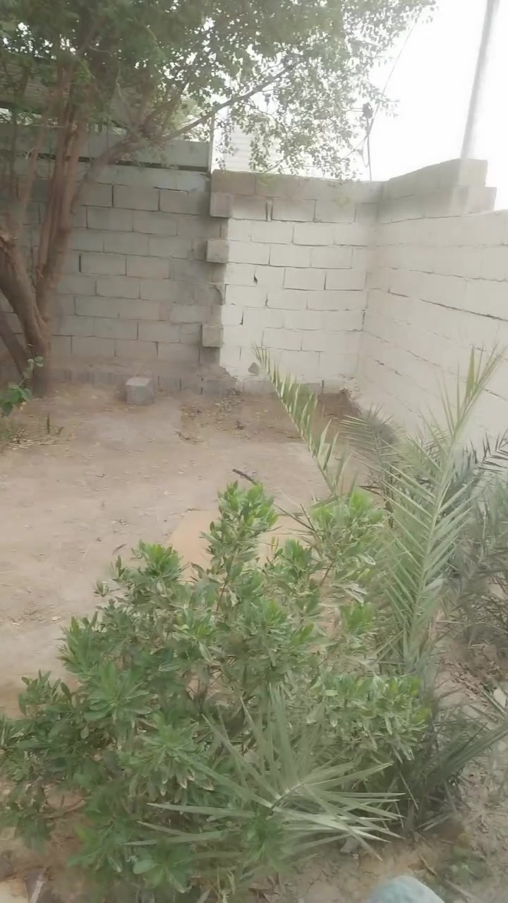 دار للبيع...
مساحه ٢٥٠ متر واجهه واجهه ١٠ نزال ٢٥ شارع ١٢ متر 
سعره ٣٢ قفل
للأستفسار اتصال فقط ***********
***********
