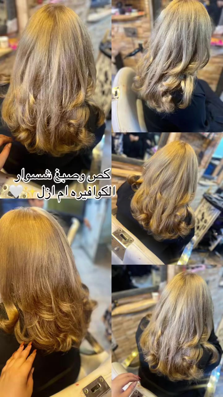 عروض اليوم • ١١ص–٩م • زعفرانيه المشجر