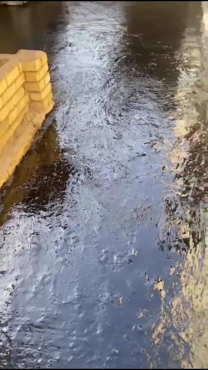 التواصل ع الارقام♥️

نص مكتوب في الصور:
- زفت ماستك برايمر تركيب - صيانة - تنفيذ كافة أعمال الزفت بأعلى جودة واحترافية ضمان العمل أسعار مناسبة جودة عالية سرعة في التنفيذ نستخدم أفضل المواد زفت زفت عالي الجودة للأسطح والطرق للأنتربطح والطرق ومقاوم للحرارة والماء ماستك MASTIC Bitumen Mastic Coating ماستك عازل ومطاطي مرن - مقاوم للماء برايمر PRIMER BITUMEN PRIMER برايمر بيتوميني للزفت والدهان كل مناطق بغداد للتواصل *********** سجاد *********** قصي