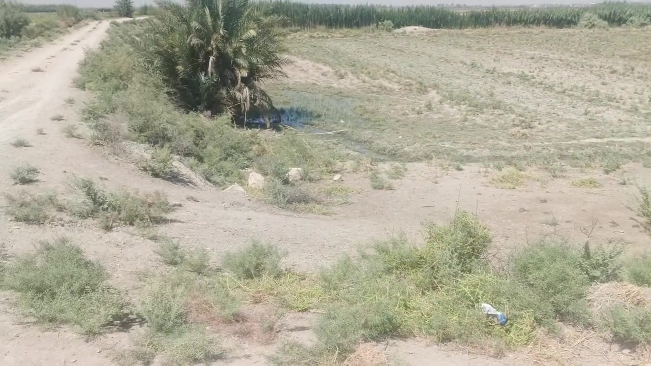 البيع 8 دونم طابو سند 25 بسند مستغل سبع البور منطقت المصالحه وطجاج بصف شقق سعر دونم 25 عل طابو ابو غريب 
***********
