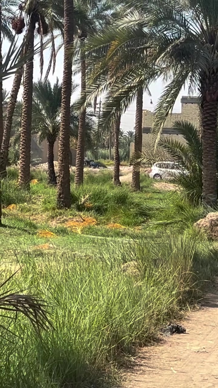 كربلاء الهندية • ٥٥٠٠م • سقي سيحي