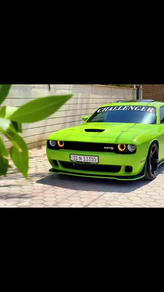 الحلوة للبيع عليه رقم بغداد مميز
جالنجر 2015 فول مواصفات خنك للخير

السيارة قطعة وحدة صبغ فقط وبنيد محدث السونار موجود حادث أمريكية بس دعامات والصور  موجودة 

السيارة اصل سكات طابوكة  ارتي 5700

اللون المميز التفاحي 💚

وعليه هواي إضافات وتعديلات حلوة

دركة هلكات أصلية SRT

نضام بك فأير وجهاز لهب

وطلقات قوية مع نار

كزوز كامل معدل ٣ انج مع دبات بورلا

مواصفات هواي بيه رادارات

نقط عمياء

حساسات خلفية

شفتات بالستريرن

تحكمات رادارات

كشنات جلد ومخمل

كشنات تدفه تبريد

سلايت روف

كشن كهربائي

 
 ثلاجة 6400

شوتة كي ان تو 

كفرات مكينة SRT

وشومات وتغطيس كفرات المحرك بالكامل

لدات داخليه زرع ألوان متحرك عل تليفون

كفرات إضافية للمحرك مع تغطيس 

اخوتي اعرف طولت عليكم بس عمود توضحلكم الصوره
 وسعره مناسب واعتذر لان مراح اذكر السعر علق وادزه الك خاص

مكانه كربلاء السيارة بسمي هزة سنوية جديدة

رقمي ***********

علق ويوصلك السعر
