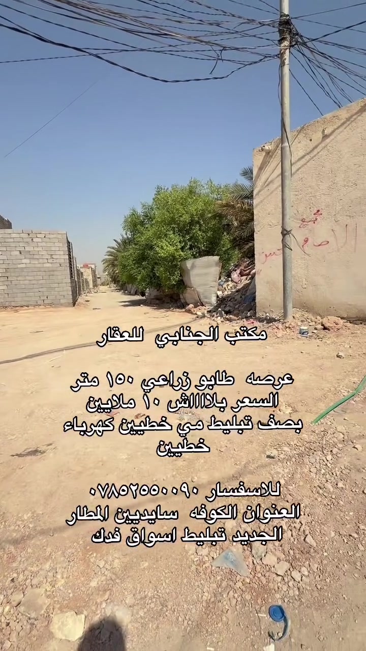 الكوفه • طابو زراعي • ١٥٠م