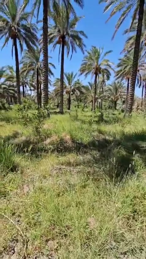 السلام عليكم
دونم للبيع
 عنواني الحسينيه منطقه البڪيرة  نزله عن الشارع الرئيسي تقريب 400 متر 
ماء وكهرباء وتبليط متوفرات 
تحويل مباشر من صاحب السند للاستفسار الاتصال على ***********
السعر 160 قابل للتفاوض
