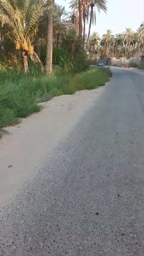 ياألله 
دونم ونصف للبيع
طابوزراعي سند 25
وجة تبليط مباشر
كافة الخدمات متوفرة 
كربلاء الحسينيه شارع السيدة زينب ع 
للمعلومات أكثر 
***********@

