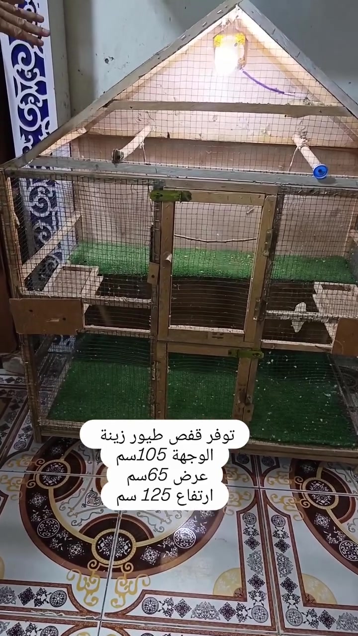 قفص طيور • ١٠٥×٦٥×١٢٥سم • شارع الوايلس