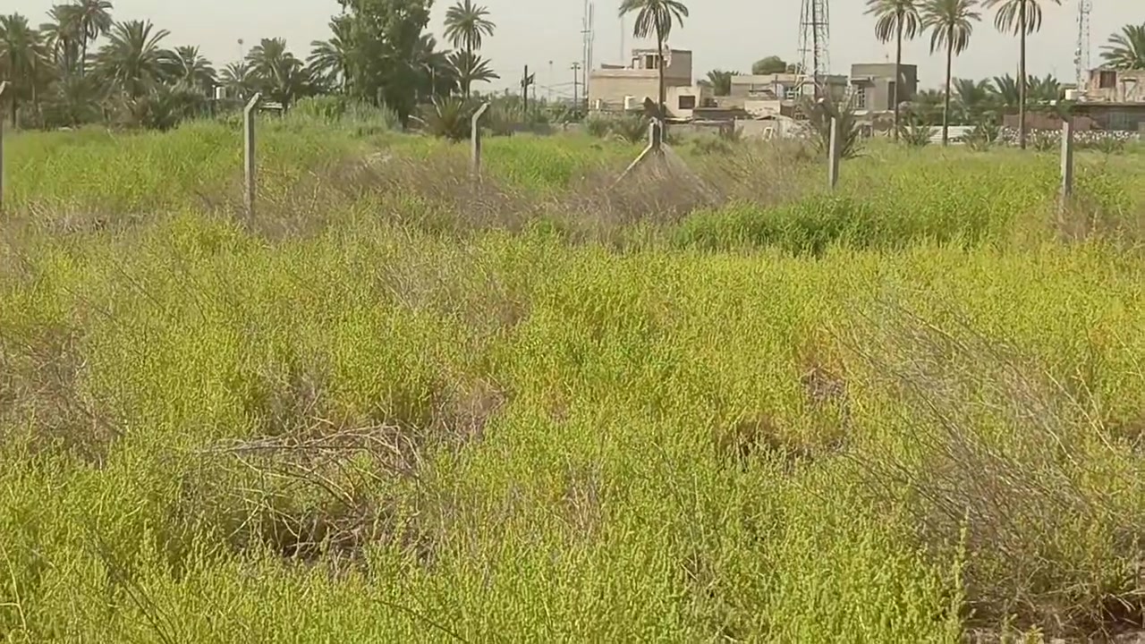دونم للبيع بالخيرات التفاصيل بالفيديو السعر 75 
***********
