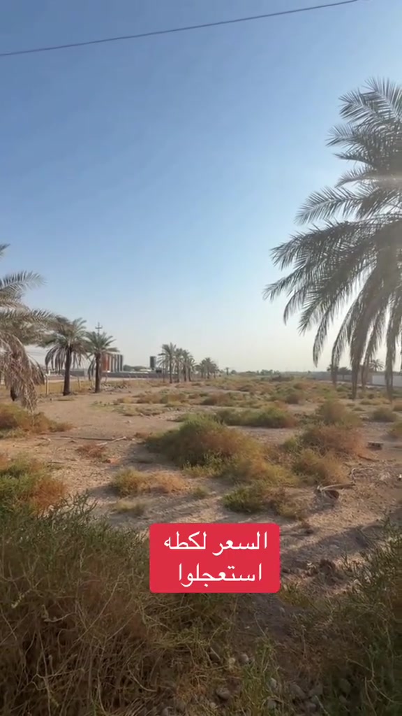 ١٠ دوانم • جديدة الشط ديالى • كهرباء وماء