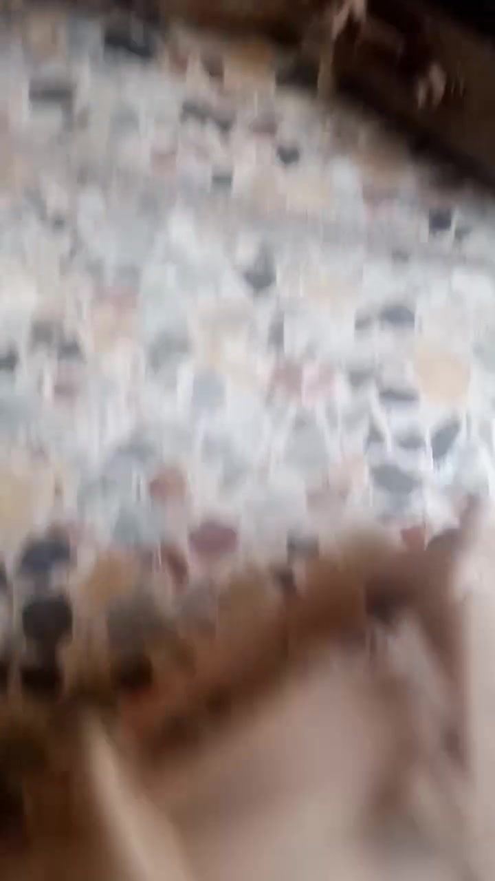 مكينة لحيم كبيره اصليه السعر ١٢٥ العنوان البصره الجبيله القياده البحريه خلف نادي البحري الرياضي ***********
