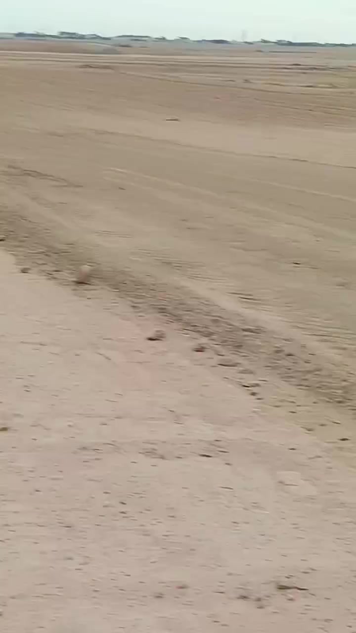 خلف جامعه الانبار • ١٦٤٠٠٠م • طابو صرف