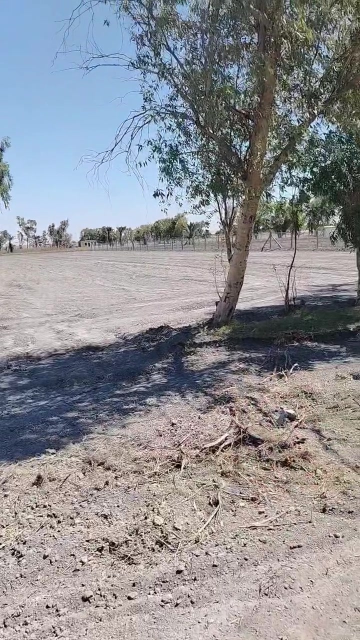 📢 فرصة ذهبية على ذراع دجلة – موقع مميز جداً 🌊🔥
عمي بهالسعر وبهذا الموقع والله 
أرض مثالية للاستثمار أو إنشاء مزرعة وشاليه 👇
🔹 التفاصيل:
📏 المساحة: 1ونص دونم
📐 الوجهه 37والنزال 120
💰 سعر الدونم 38وبي مجال 
🔹 المميزات:
🌊 موقع مباشر على ذراع دجلة
⚡💧 جميع الخدمات متوفرة (كهرباء + ماء + ماء إسالة)
🏡 قريب من مناطق السكن
🌴 محاط بمزارع وشاليهات (منطقة حيوية ومرغوبة)
🔹 الموقع:
📍 بغداد – التاجي
📍 ذراع دجلة / منطقة الشيخ عامر
💰 فرصة نادرة بهالسعر وبهذا الموقع، مناسبة للاستثمار أو الترفيه 🌿
📞 للاتصال والاستفسار:
*********** 
#بغداد #التاجي #ذراع_دجلة #اراضي #بيع_اراضي #استثمار #مزارع #شاليهات #فرصة
