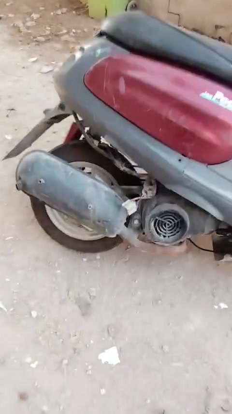 منغولي • للبيع