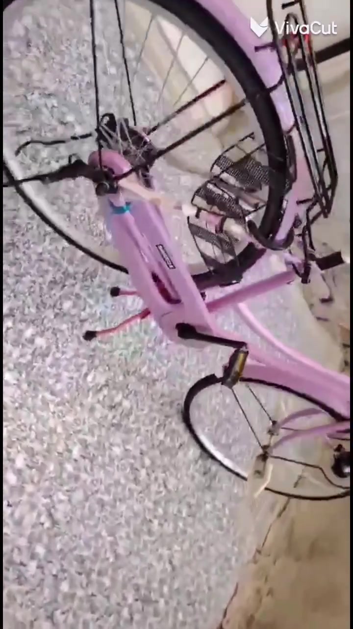 باسكل • فيديو • سعر خاص