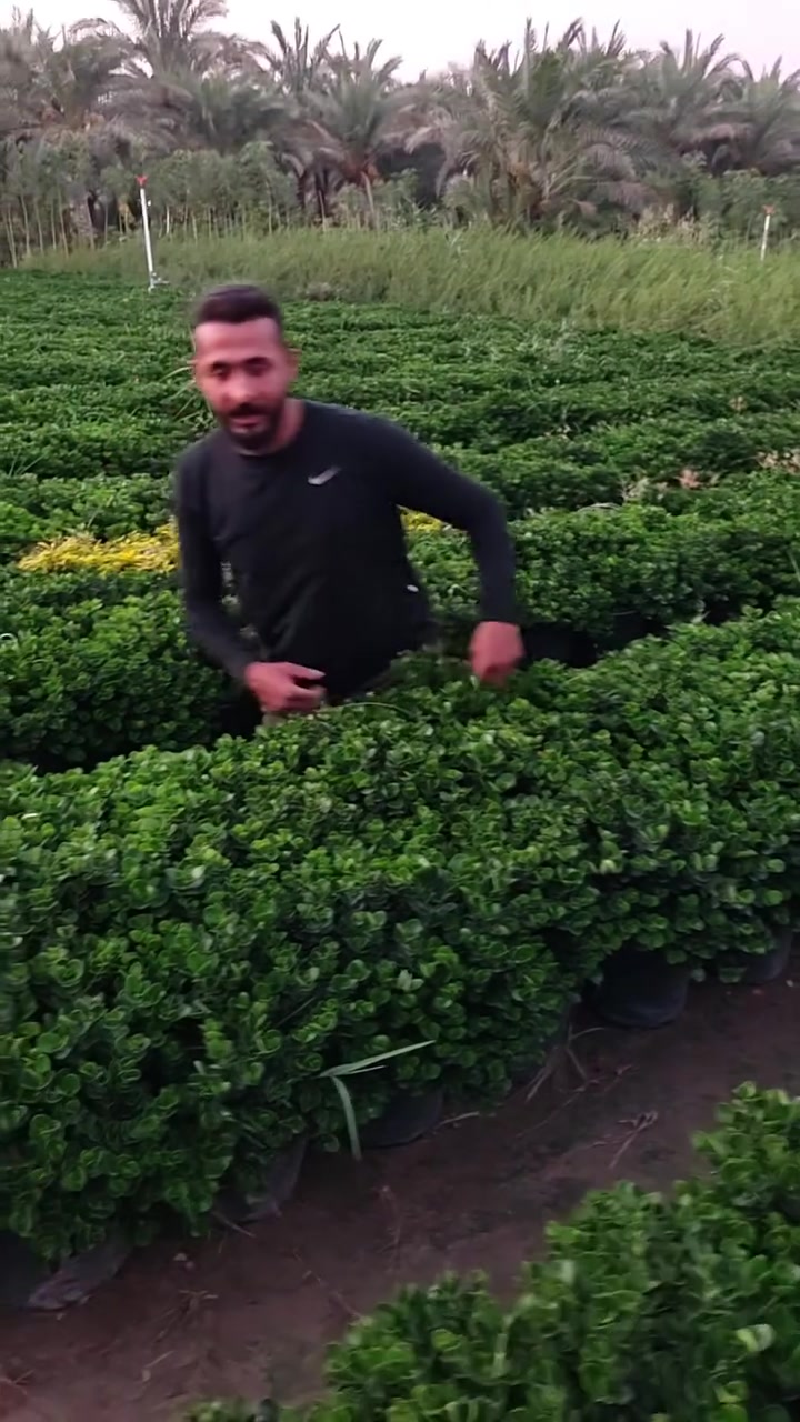كارزيه الحجم الكبير ويوجد الحجم الصغير 
واسعار مناسبه إنشاءالله  مستعدين لتجهيز كافه المزارع والشاليات للستفسار ***********جمله فقط
