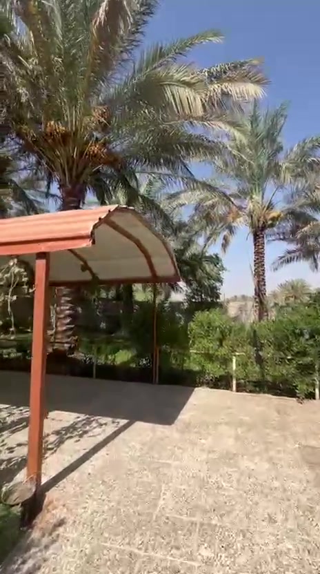 السلام عليكم يتوفر  دار للبيع مساحته 900 متر البيت جداً نظيف سيراميك كله باقي التفاصيل اتصال أو واتس اب العنوان ناحية الوجهيه المدخل للأستفسار:
***********
***********
