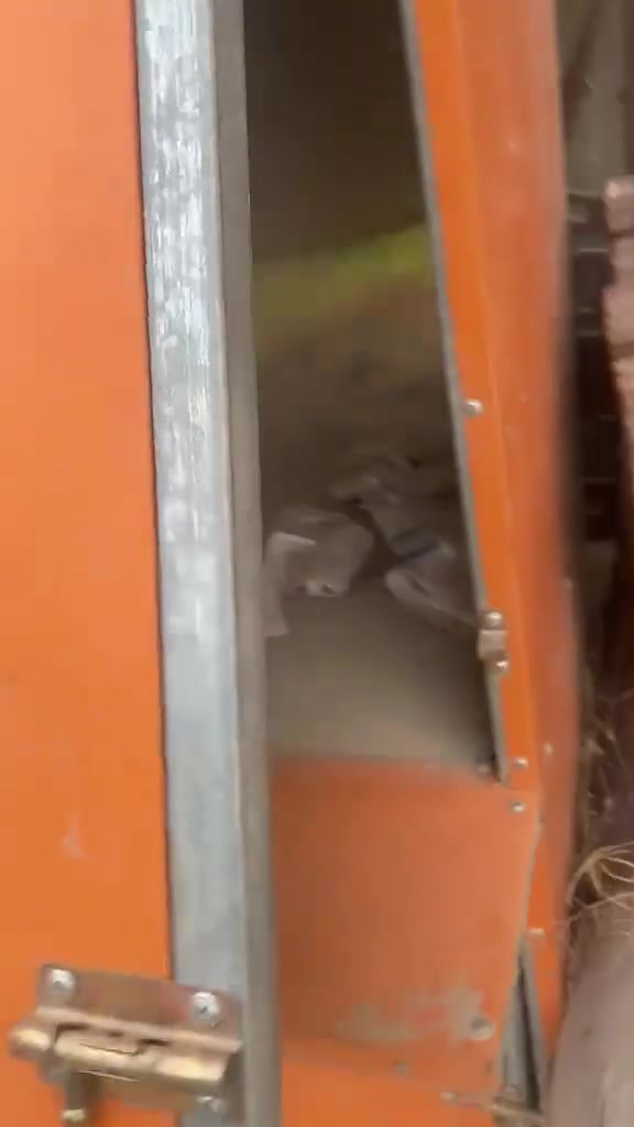 بابل • أرض للبيع