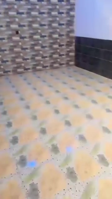 بيت لليجار ب ٣٠٠
شارع ابو نزار 
اتصال ***********
