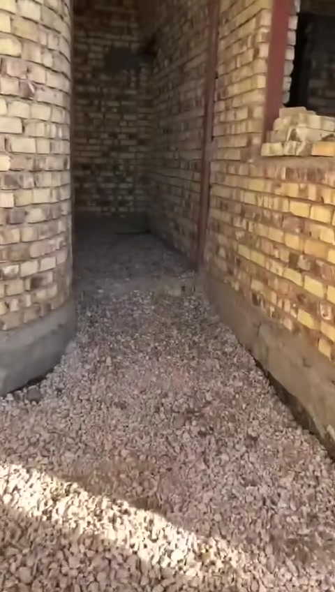 صب ارضيات • تنظيف بيت • كنغر