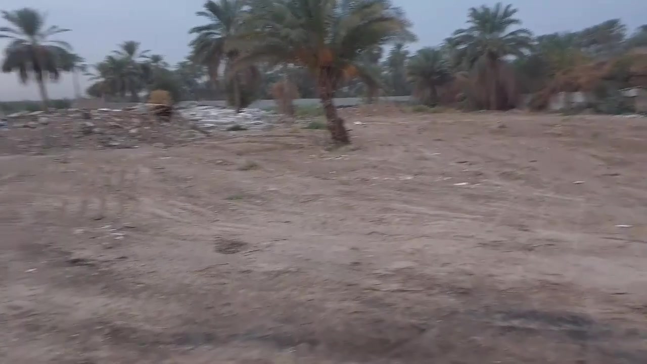 دوانم • طابو ملك صرف • الزعفرانية