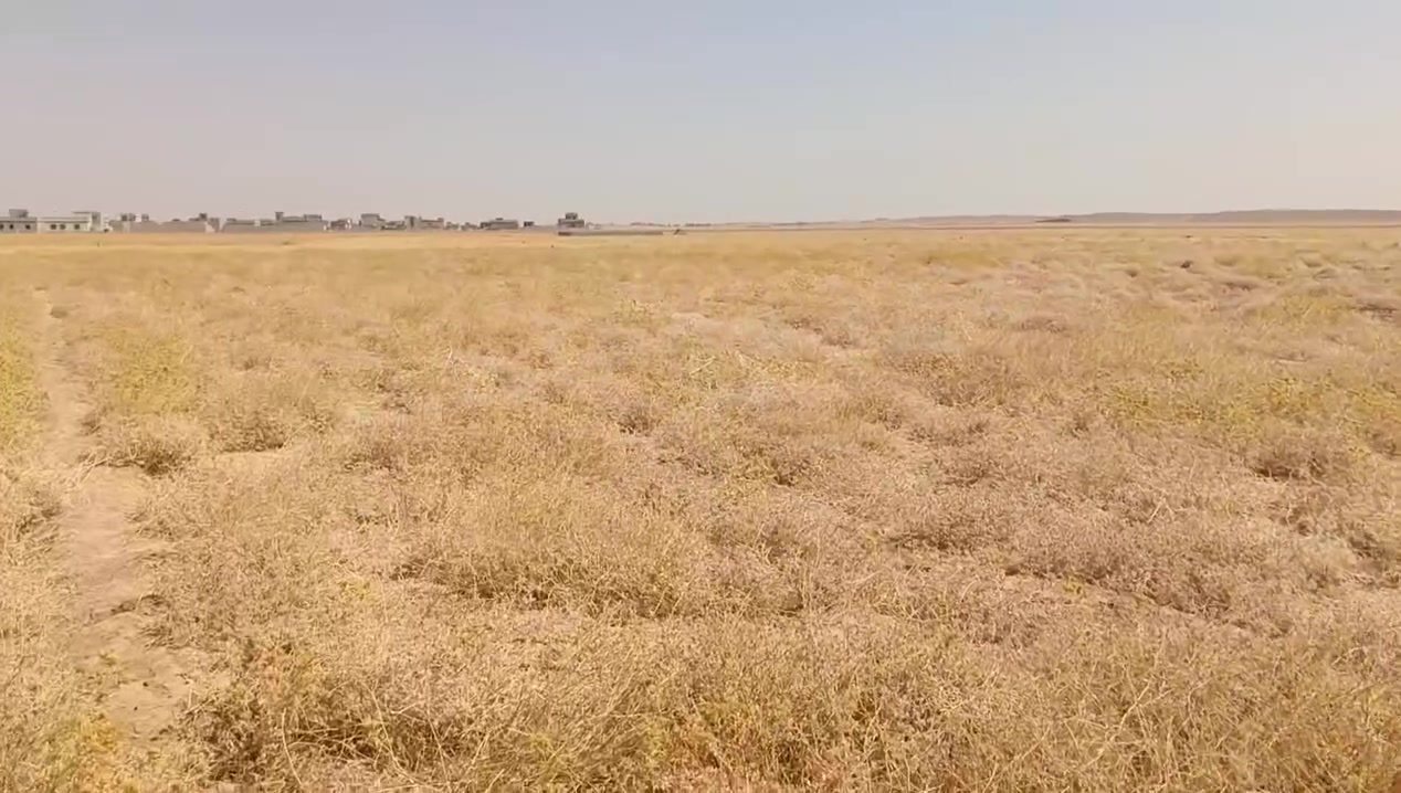 السلام عليكم توجد قطعه ارض للبيع مساحه نص دونم الموقع بريه عويجيله بصف بيوت محمد العبدلله بريه هاتف ***********

