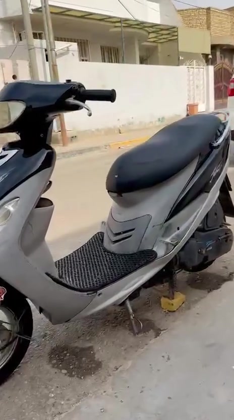 ماكس منغولي • ٢٠٠٨ • كفاله عام
