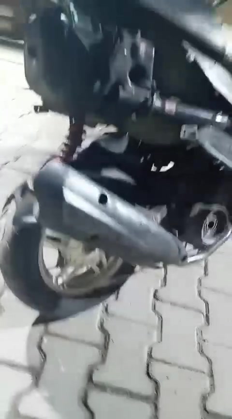 ماكس عدلة • بلادية • رياضي