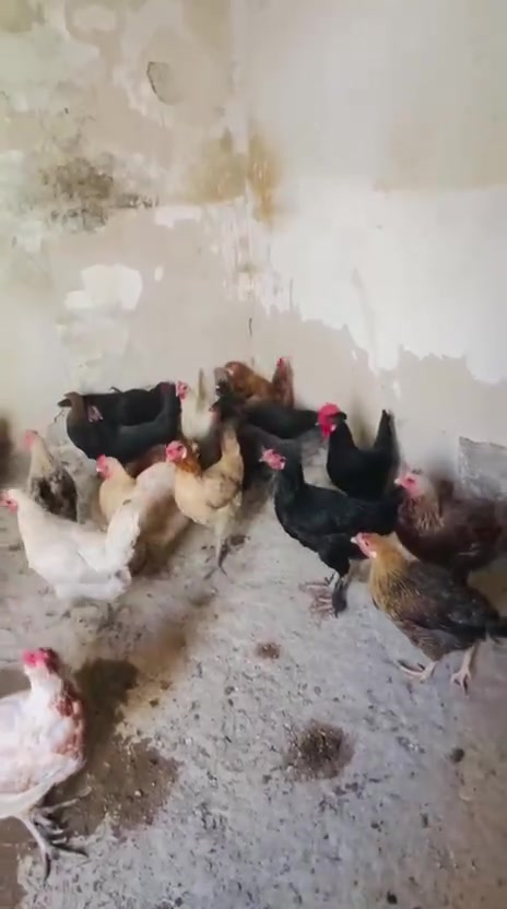 شراي • للبيع • بلدروز