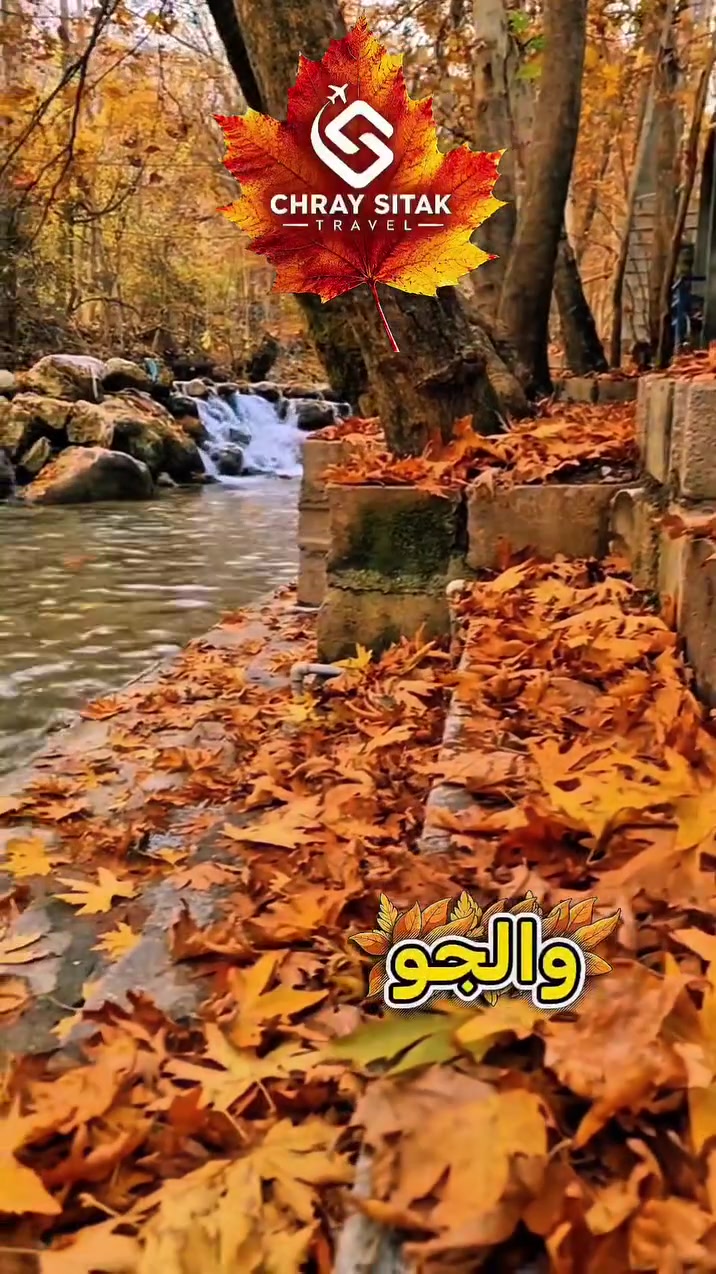 السليمانية • جراي سيتك • حجز فنادق