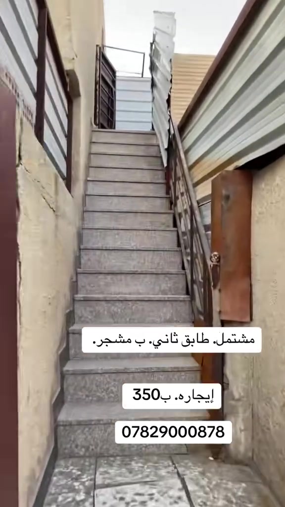 مشجر • للإيجار • بدون تفاصيل
