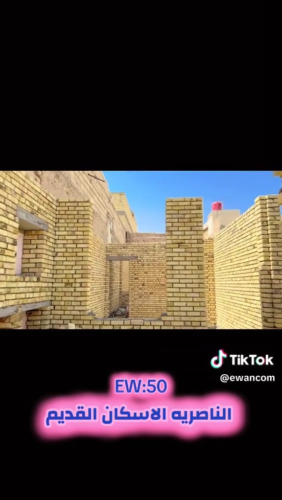 شغل درجة أولى • متفرغ • داخل ناصري