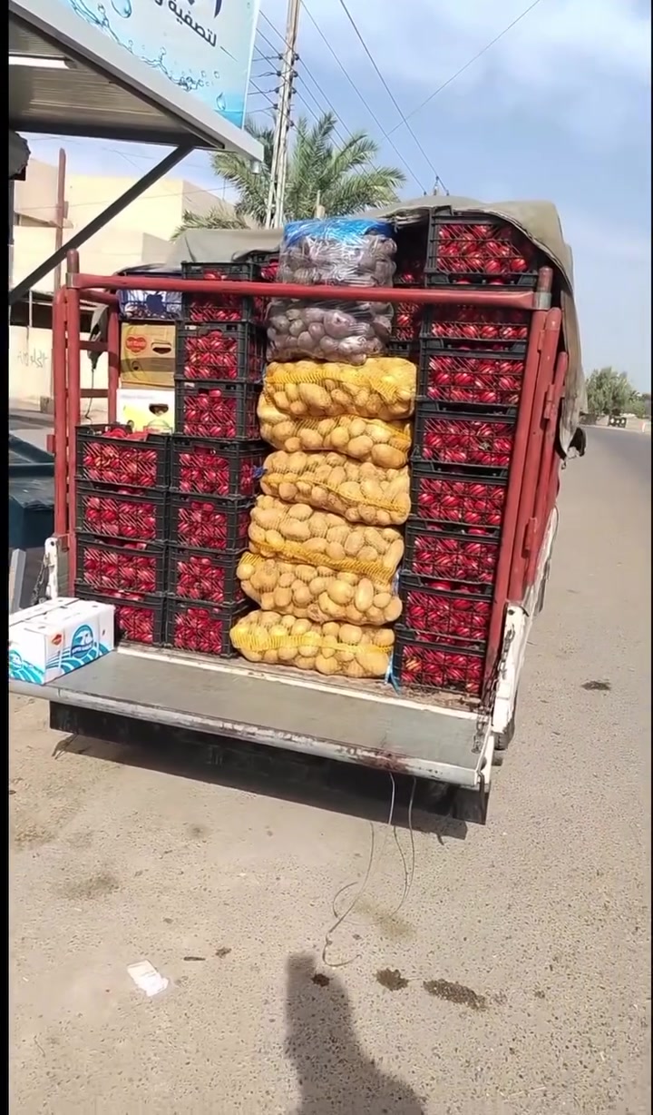 طماطم طازجة • عروض اليوم • علوة البيتان
