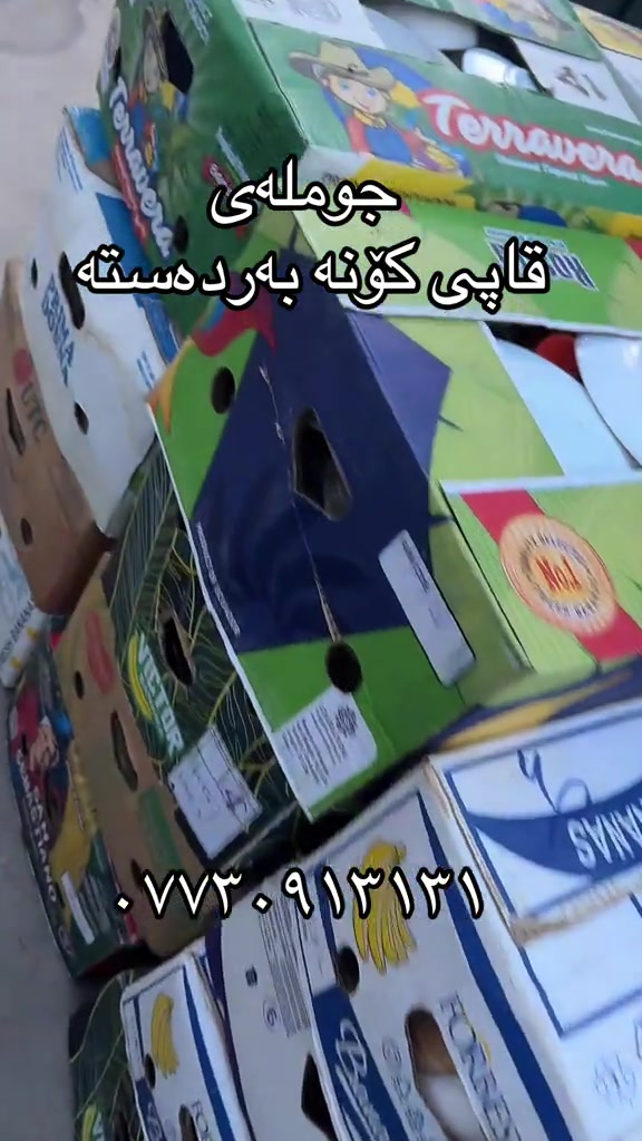 سلیمانی کەنەسورە • جملة • ابواب قديمة