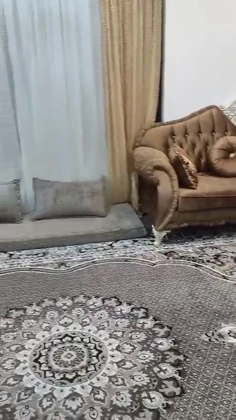 مزرعة للايجار قريب ،على مصيف فين ومصيف كلي شئرانة كهرب 24 ساعة كامل خدمات رقم واتساب*********** اسعار مناسب
