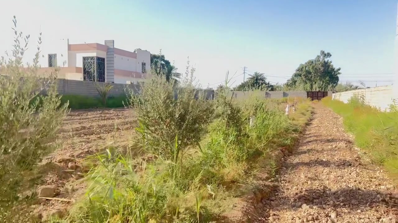 -السلام عليكم 

-مزرعة للبيع 🌾

-طابو ملك صرف 

-المساحه دونم 📐

على شارعين متوفر كهرباء وماء وماء ايضا للسقي ويوجد فيه غرفه وحمام داخل الغرفة
📍 :الموقع:بغداد جسر ديالى كرغوليه سايد الواحد قرب محطة البنزين 
 
📞:للاستفسار الاتصال على هذه الرقم 

ابو نورالرديني :***********
خالد ماهود

